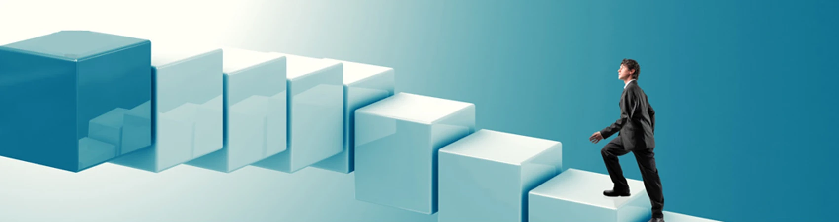 career-new-banner-top